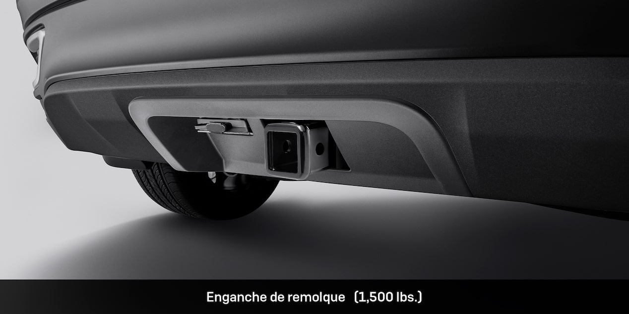 Accesorio premium Buick