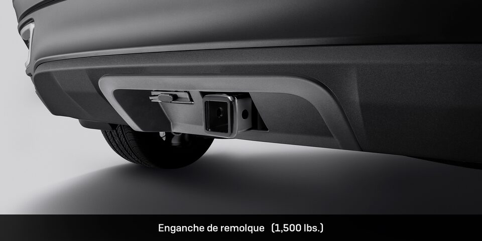 Accesorio premium Buick