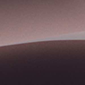 Pantone color Tuffle Metallic